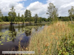 AMSAT des Marais de la Souche
