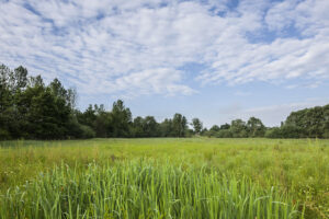 Parc Naturel Régional de la Forêt d’Orient