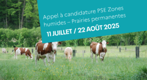 Appel à candidatures – Paiement pour services environnementaux – Zones Humides et Prairies permanentes