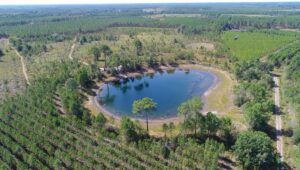 Conseil Départemental des Landes