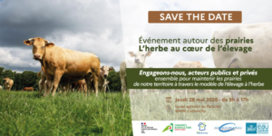 Prairies, élevage à l’herbe et qualité de l’eau : une journée régionale d’échanges