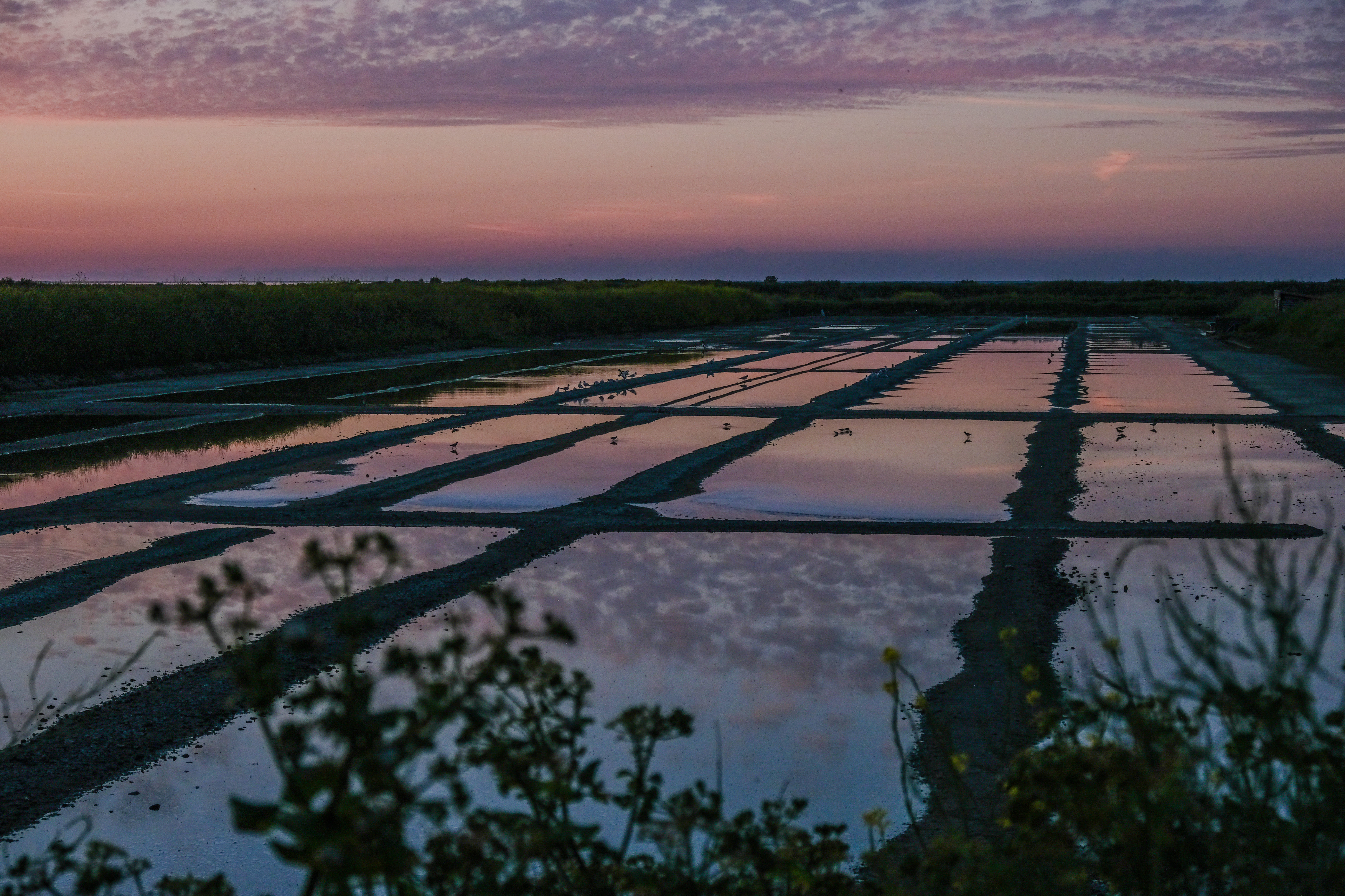 Communiqué de presse : Zones humides et loi d’urgence agricole